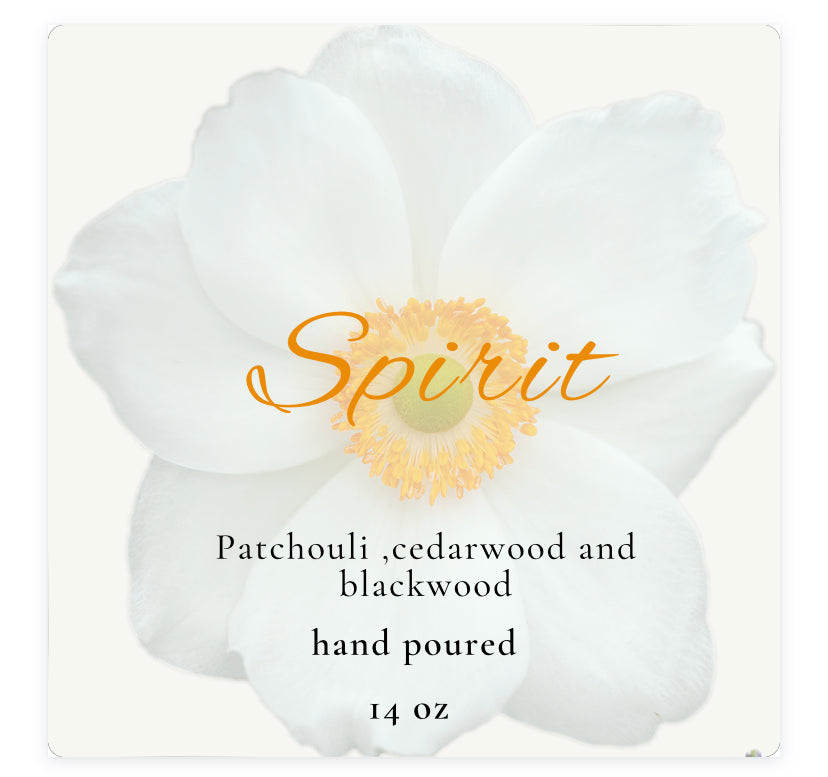 Spirit 14 oz Soy Candle in Frosted Container w/Bamboo Lid